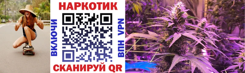 Галлюциногенные грибы Нижнекамск