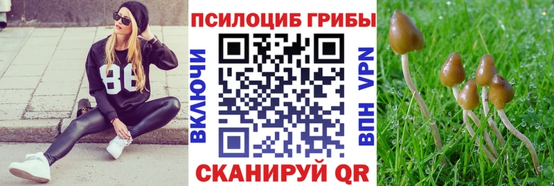 Галлюциногенные грибы ЛСД  купить наркотик  Нижнекамск 